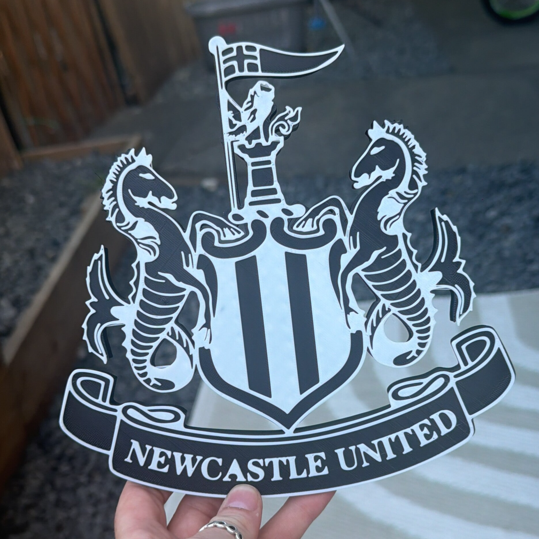 Newcastle United Sign