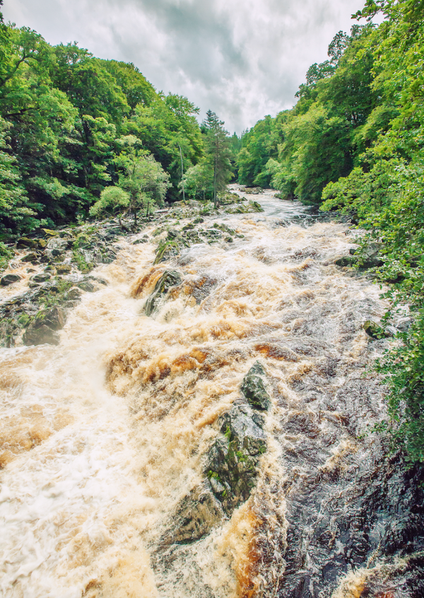 Fine Art Print : After the Rain