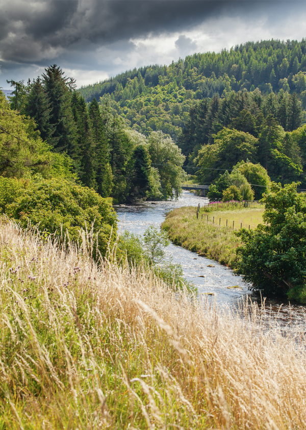 Meander Down the Glen • River Don 23-18