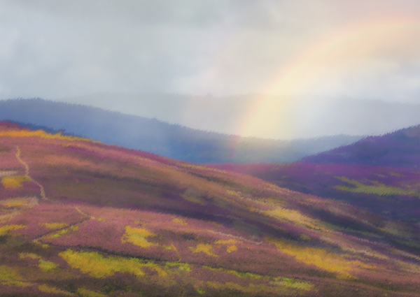 Hazy Summer Rain 23-23