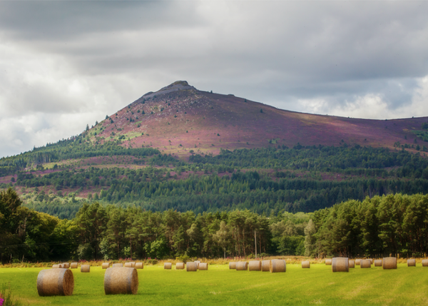 Autumn's Approach • Bennachie 23-25