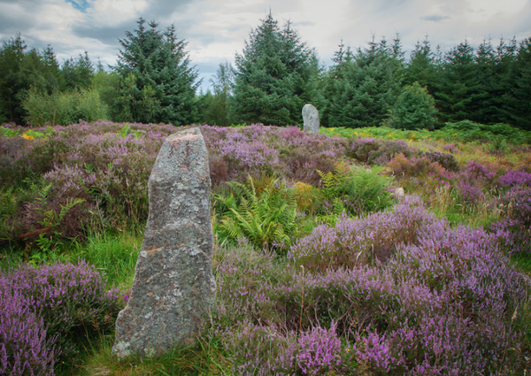 To the Moon & Back  • Whitehill Stone Circle 23-27