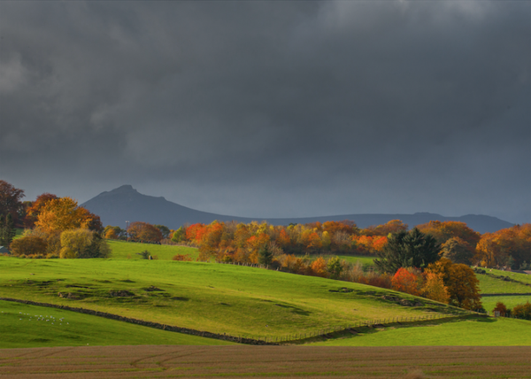 Aberdeenshire's Gold • Bennachie 23-36