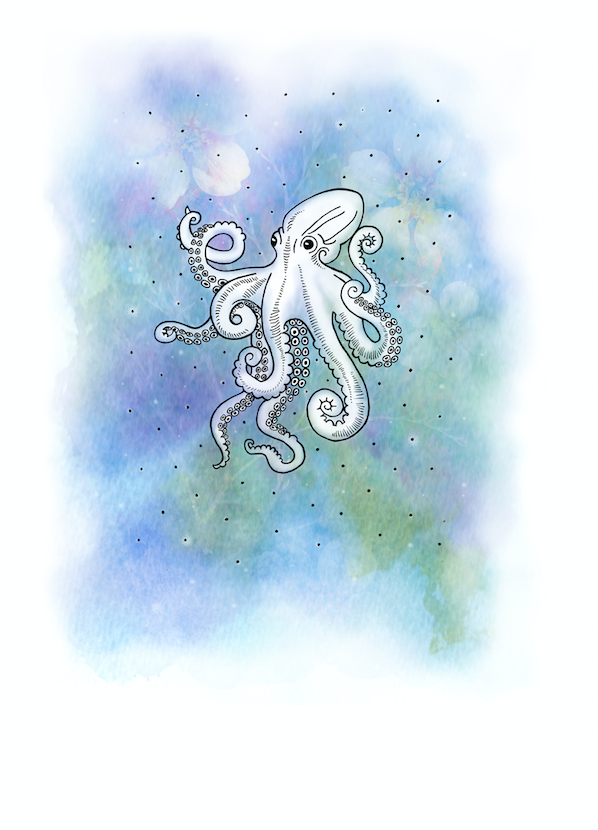 An Octopus's Garden   SB-04