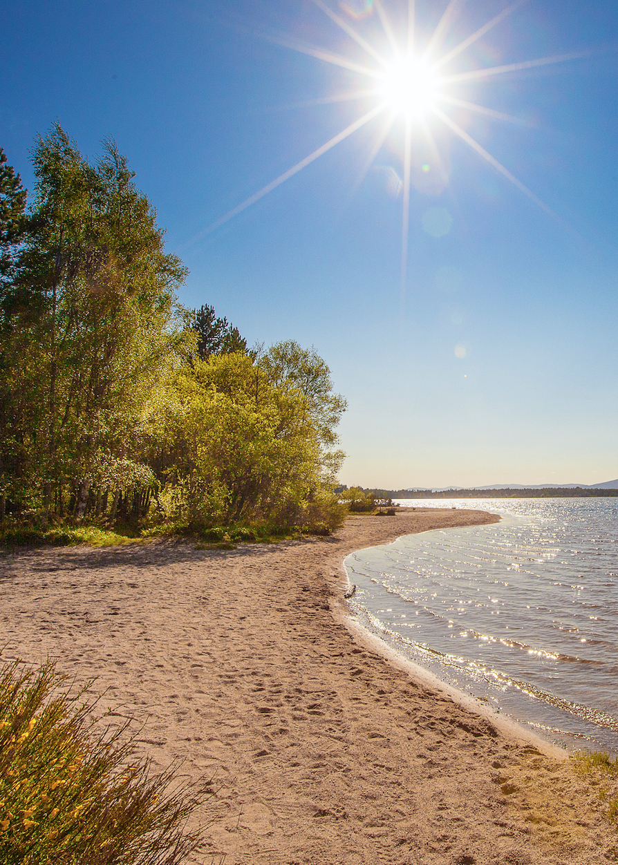 Loch Morlich Shore 24-01