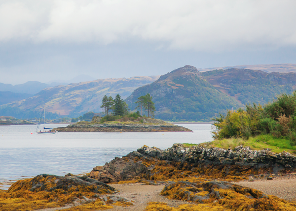 Treasure Island • Plockton 24-20L