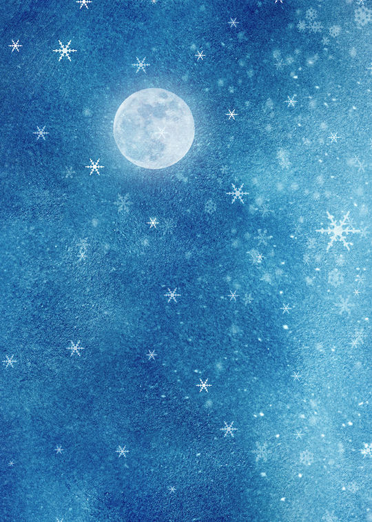 Winter Night Sky 25-201P