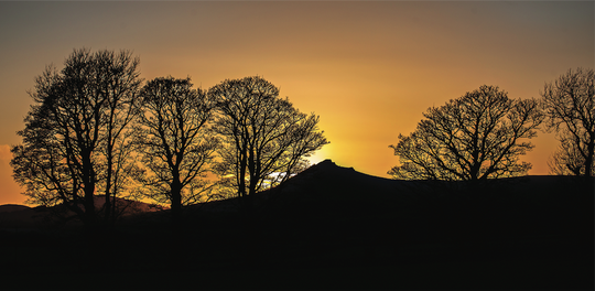 Fine Art Print : Beyond the Trees • Bennachie