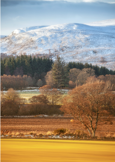 Fine Art Print : Highland Hues • Moray