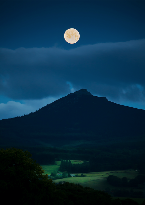Fine Art Print : A Midsummer Night's Dream • Bennachie