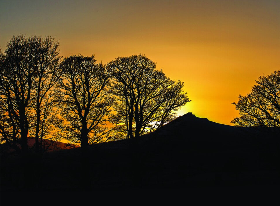 Beyond the Branches • Mither Tap 25-505L