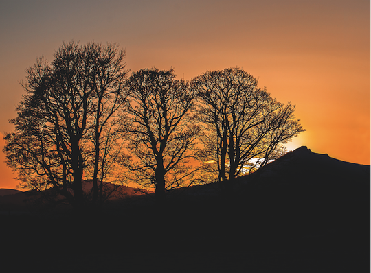 Skeletons at Sunset • Bennachie 25-503L