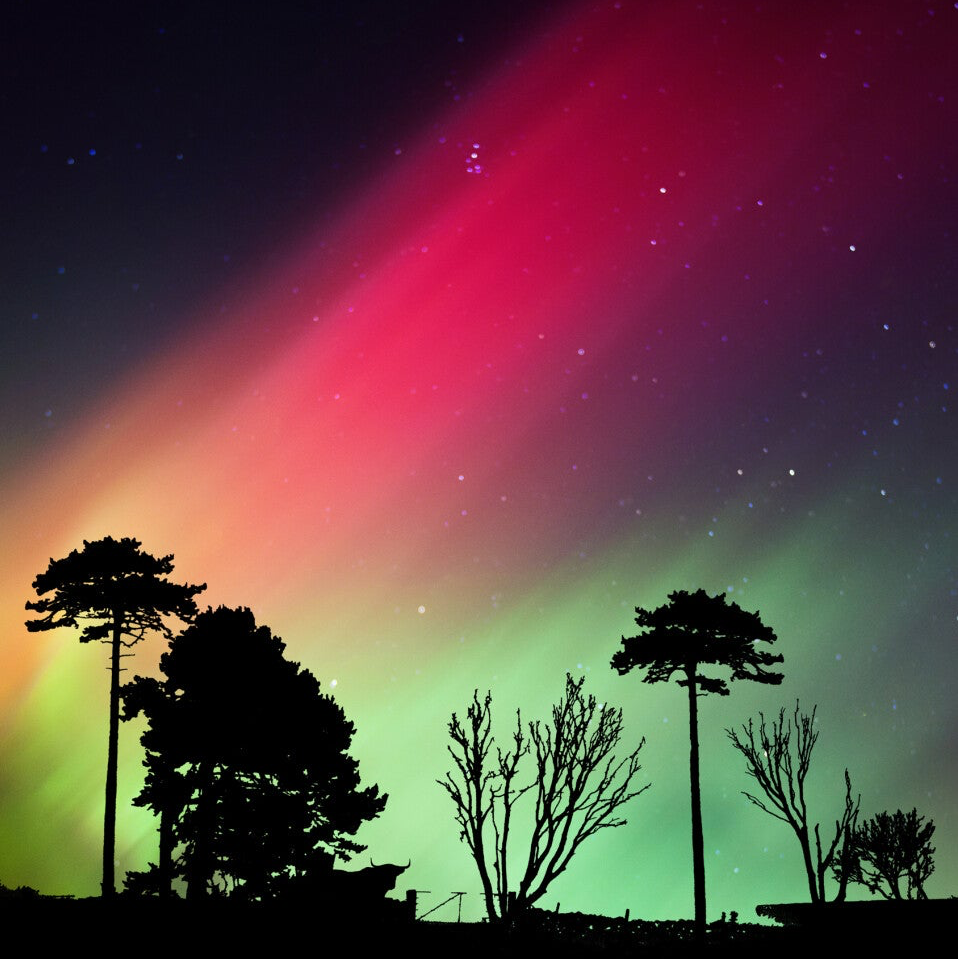 Northern Lights • Scotland 25- SCOT-01