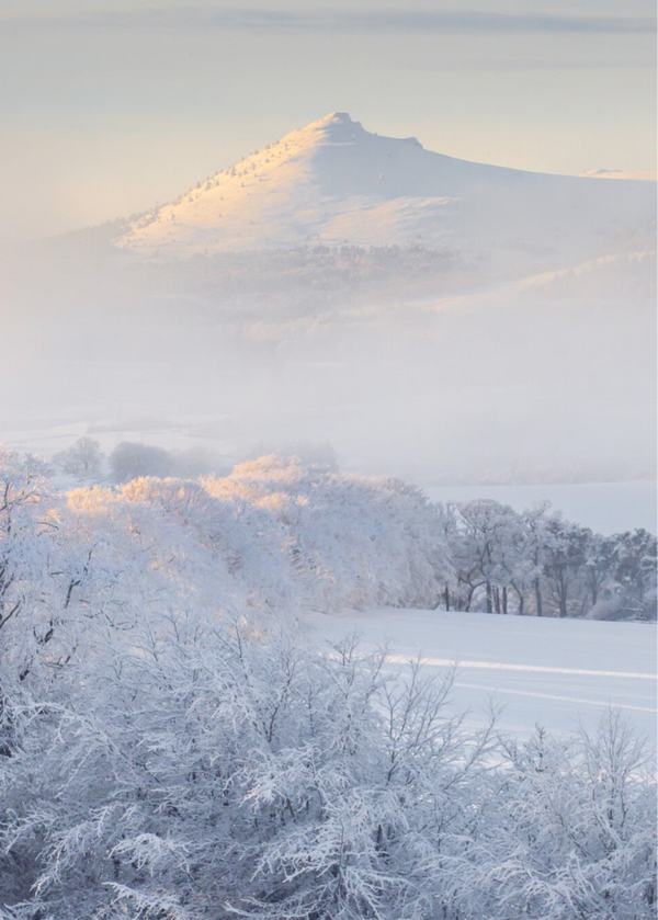 Good Morning Sunshine • Bennachie 26-01