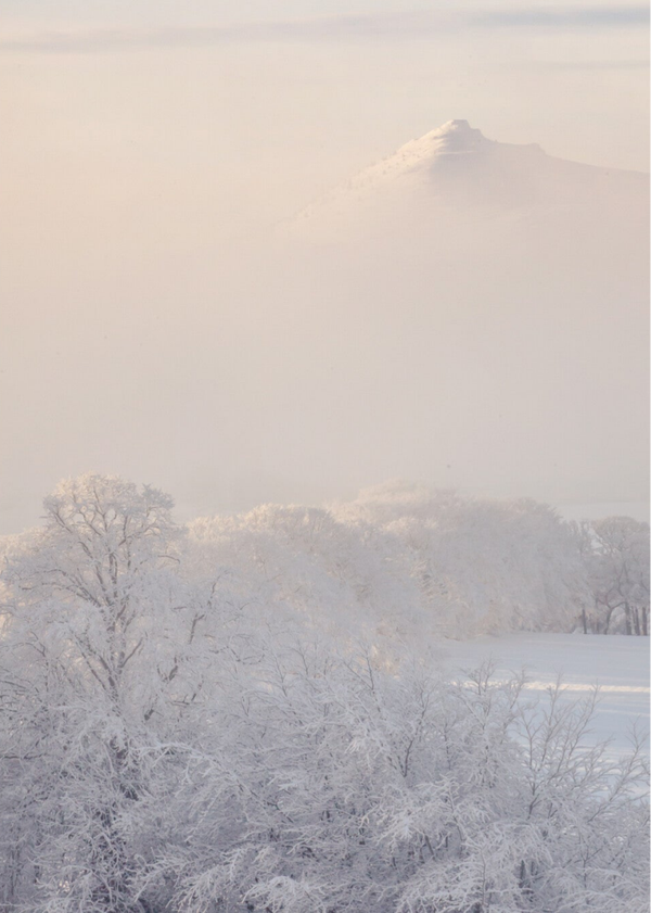 A Touch of Frost • Bennachie 26-02