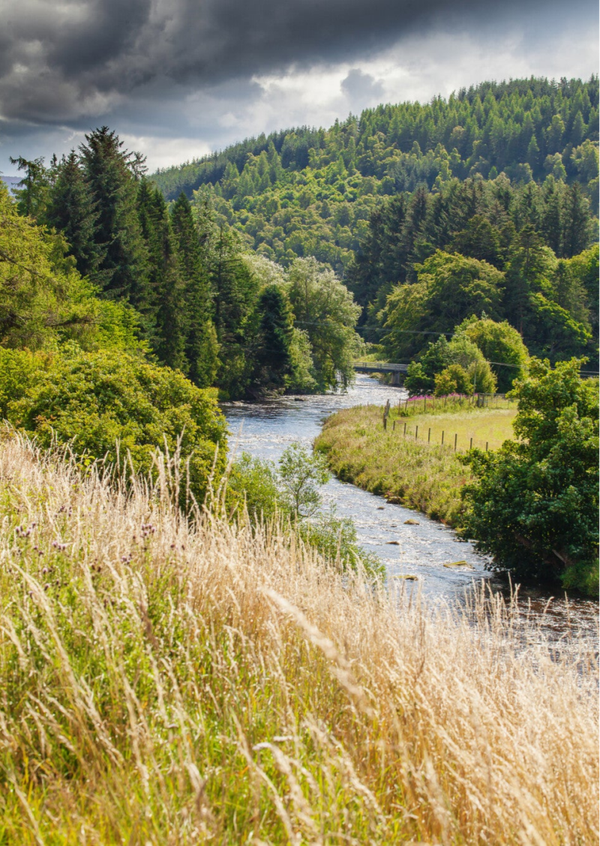 Fine Art Print : A meander down the glen