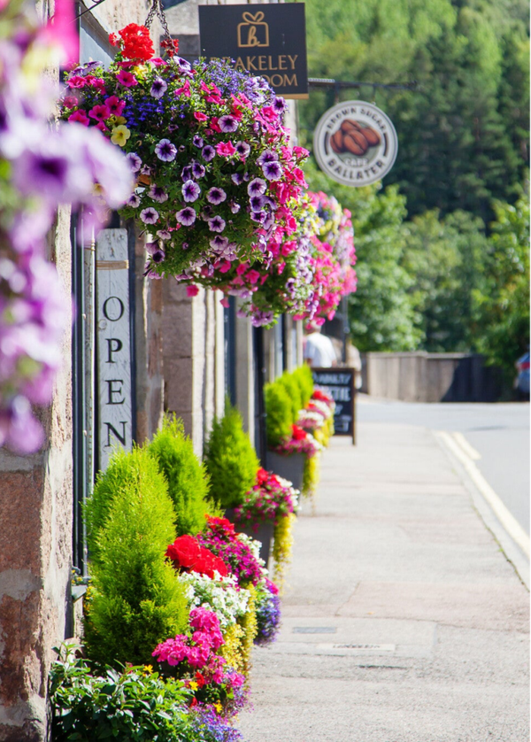 Summer in the Shire 26/14