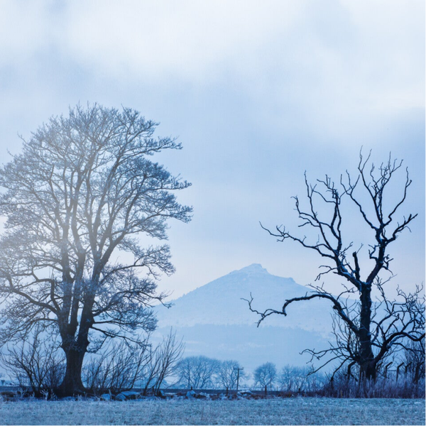 Winter's Touch • Bennachie SSQ19-28