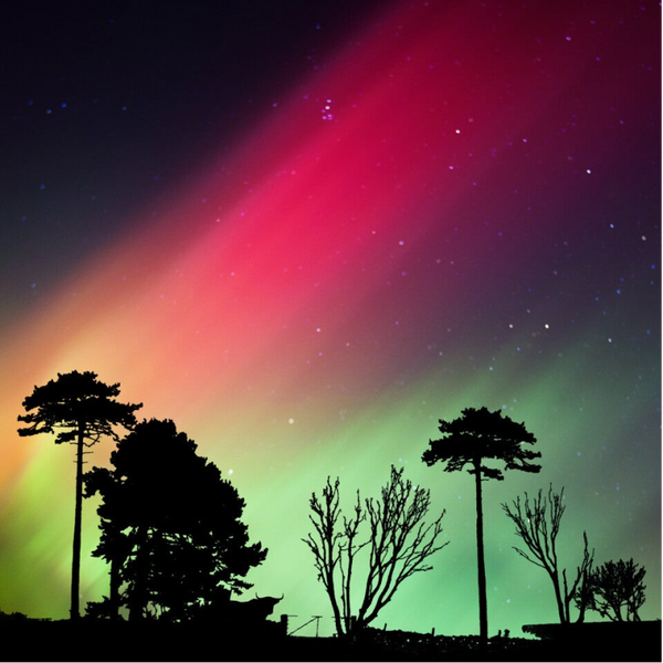 Northern Lights • Scotland 25- SCOT-01