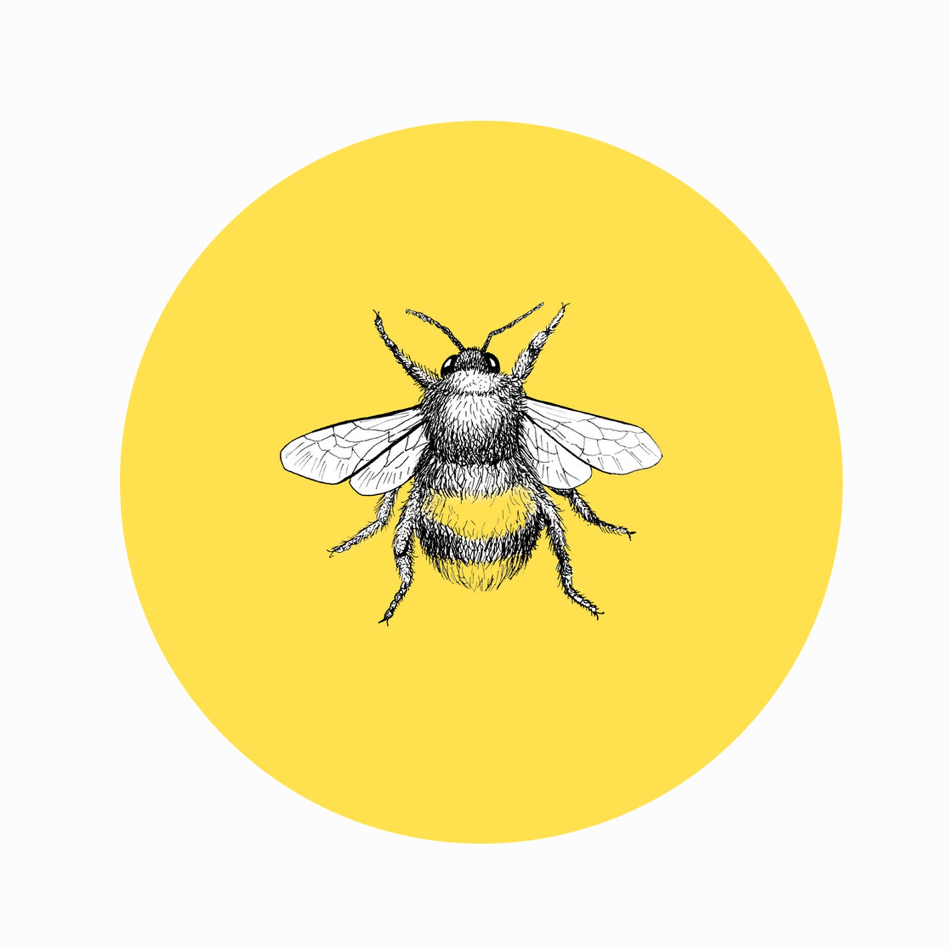 Bumble Bee Birch Keyring