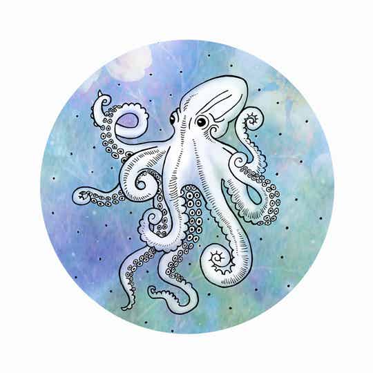 Octopus Birch Keyring