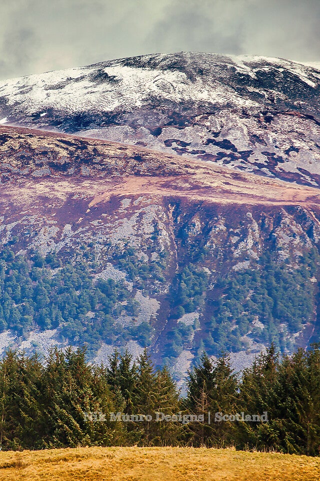 Fine Art Print : Cairngorm Colours • Portrait