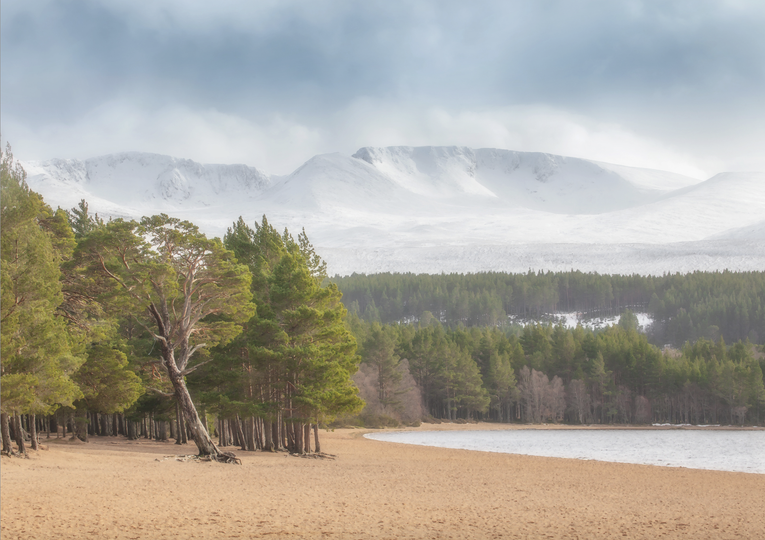 Loch Morlich Beach & Mountains • Cairngorms SS20-23