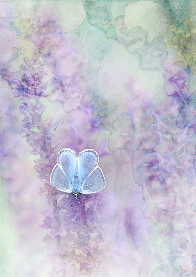 Blue Blotches SS20-08