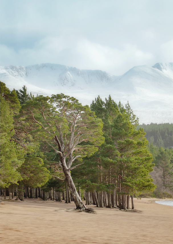 Loch Morlich Mountains • Cairngorms SS20-18