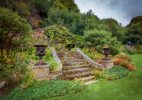 Fine Art Print : Eleven Steps to Heaven