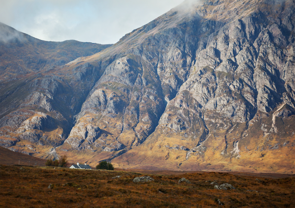 Glencoe Gold SS20-94