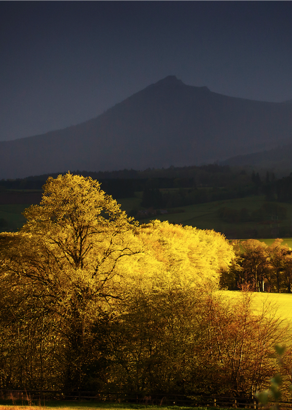 Sunset through the Storm • Bennachie SS21-26P