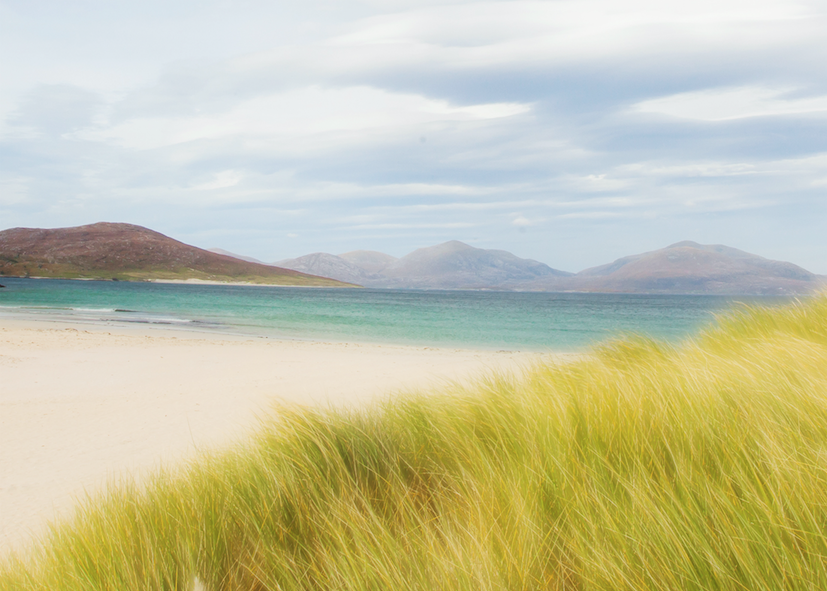 Grass Dunes • Isle of Harris Outer Hebrides SS21-36L