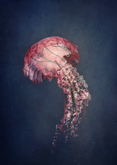 Beautiful Briny SSP19-14