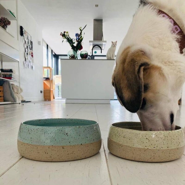 Eet- of drinkbank voor viervoeters