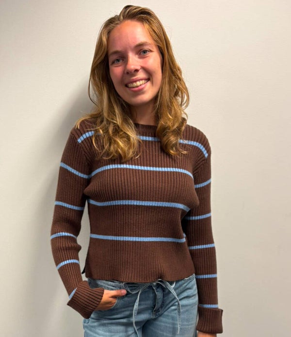 Blauw bruin streep truitje