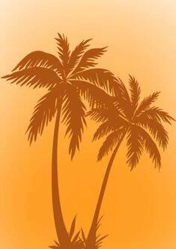 Palm Tree Sunset Haze Print