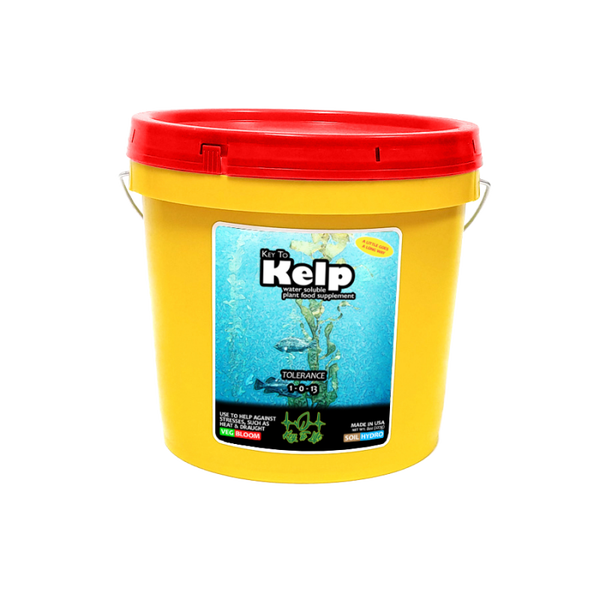 Key To Kelp