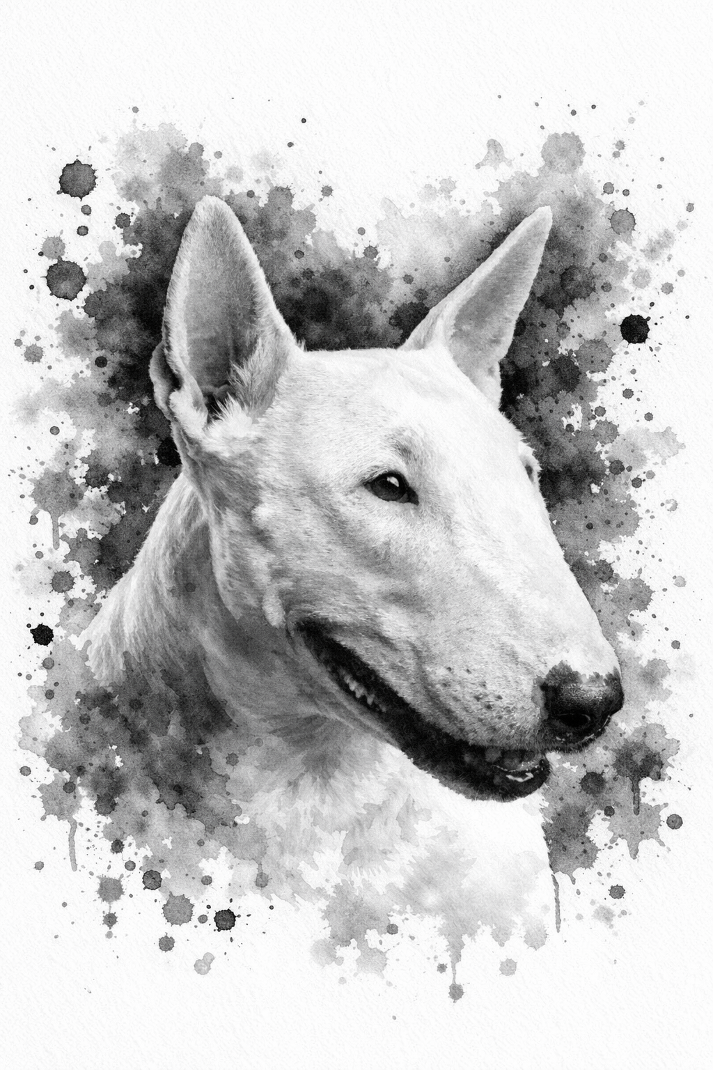 Enkele kaart  "bull terrier"