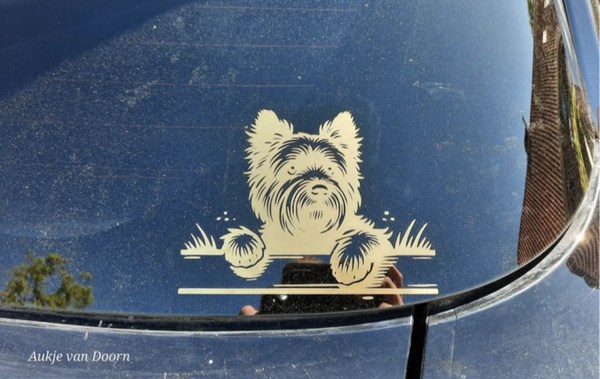 Auto sticker Cairn terrier 1