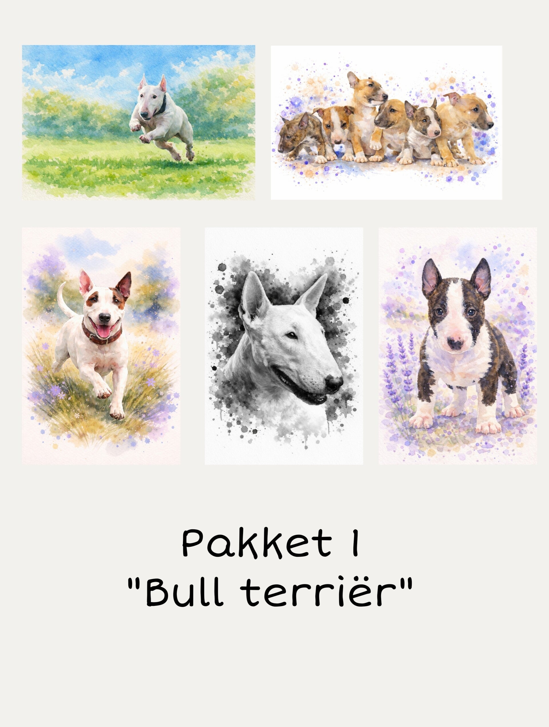 Pakketje van 5 kaarten  "Bull terrier"