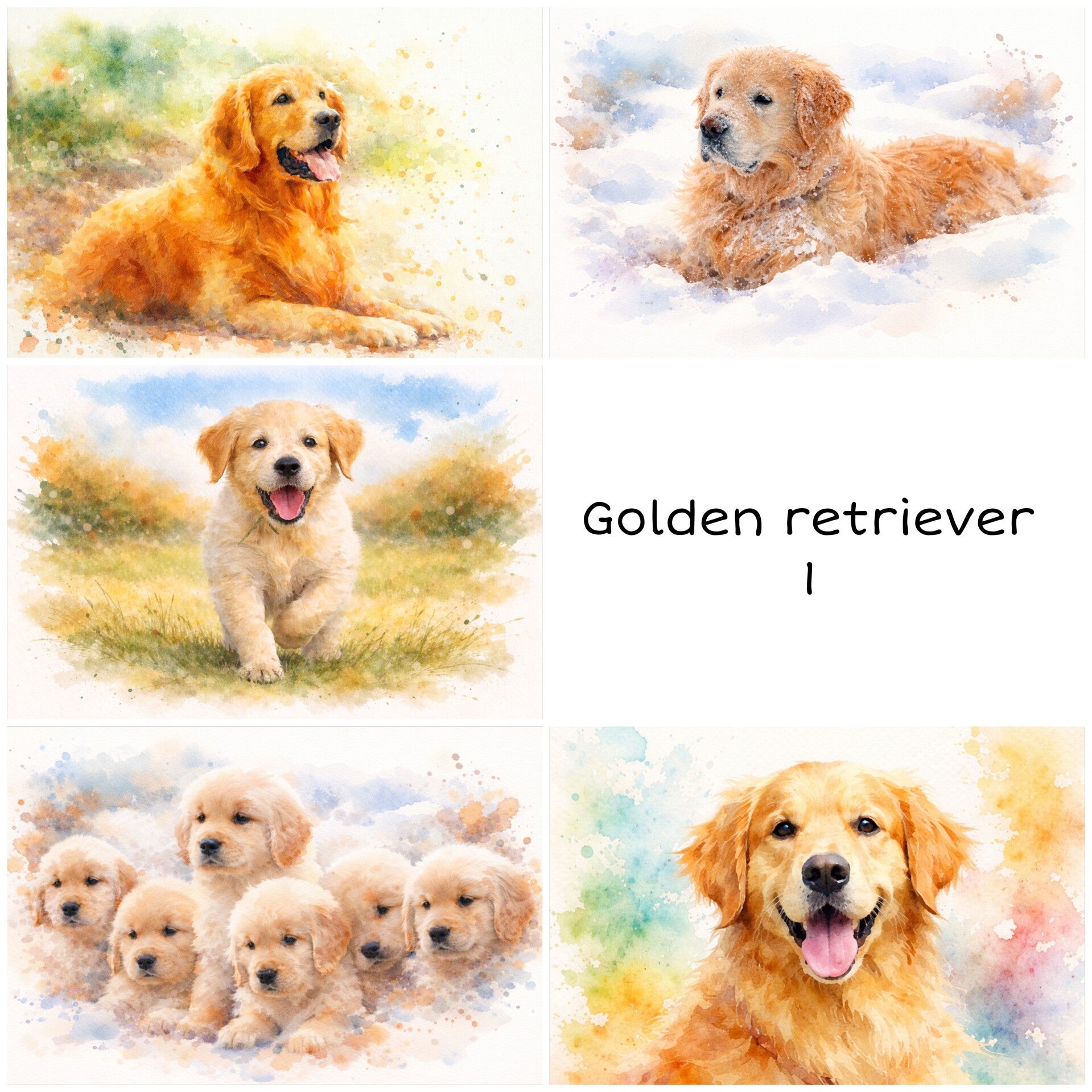 Pakketje van 5 kaarten  "Golden Retriever"