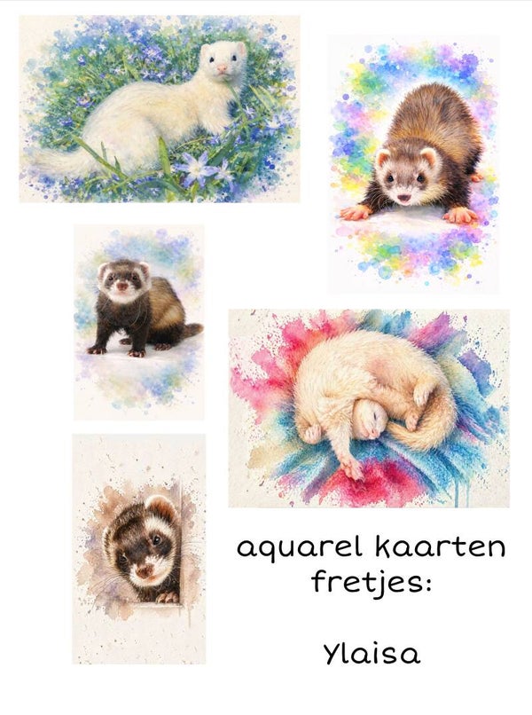 Pakketje van 5 kaarten  "Fretjes"