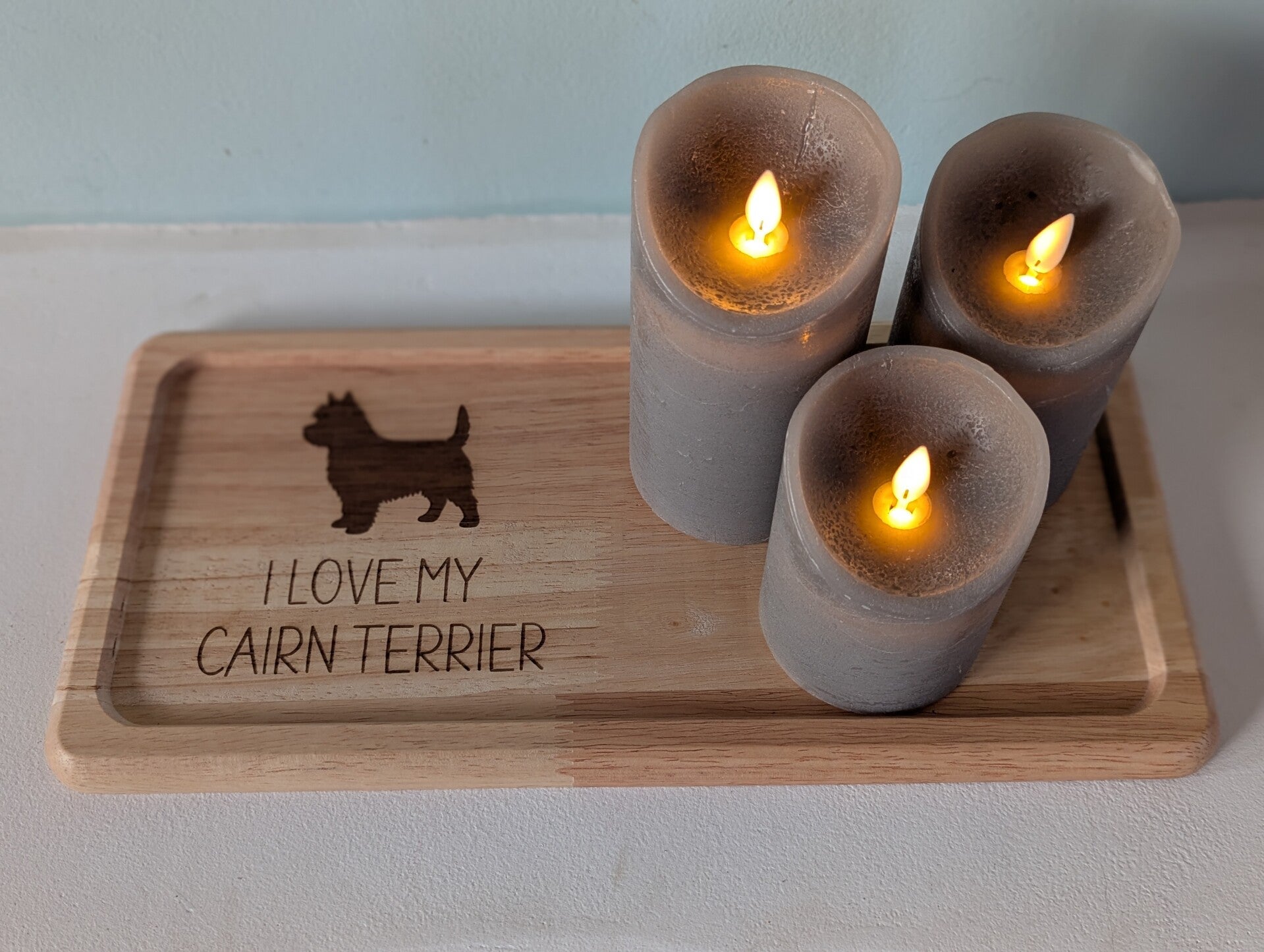 Plateau 1 "Cairn terrier"