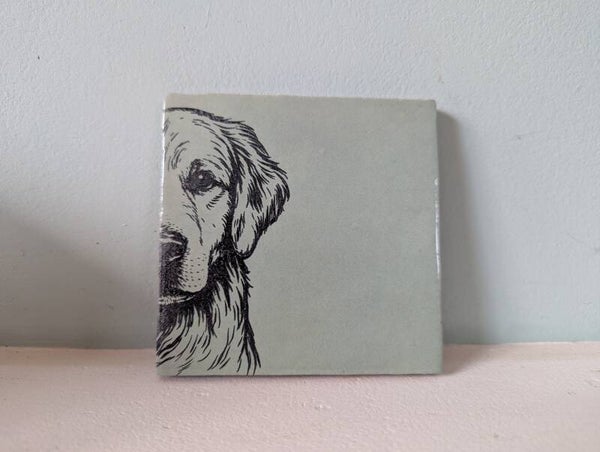 Tegeltje "golden retriever"