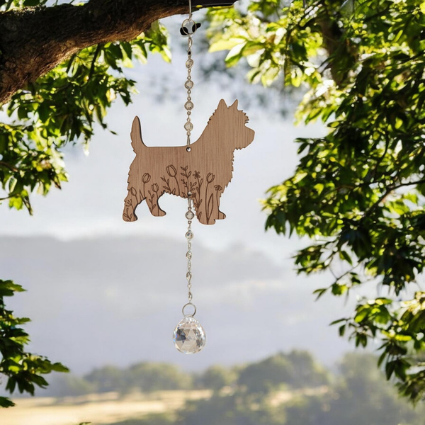 Windvanger Cairn terrier