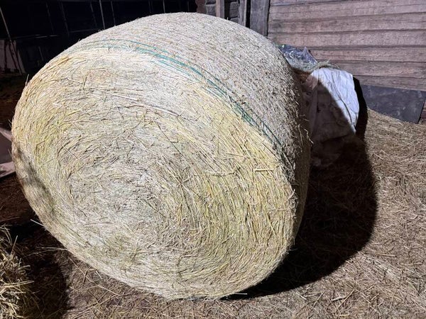 2025 Heinä analysoitu~450kg