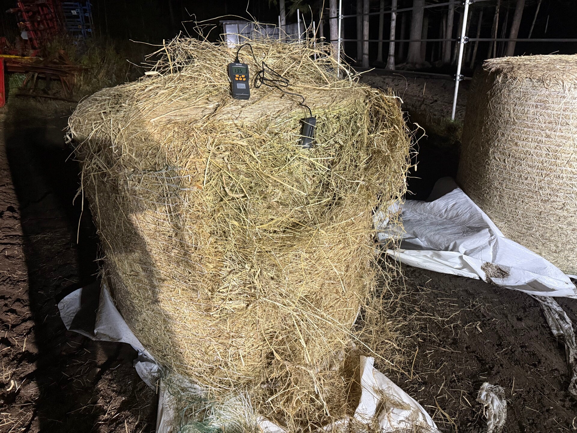 2025 Heinä analysoitu~450kg