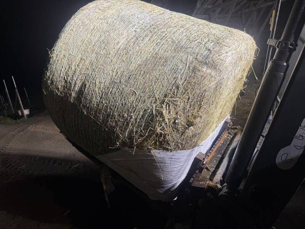 2025 Heinä/odelma analysoitu~450kg