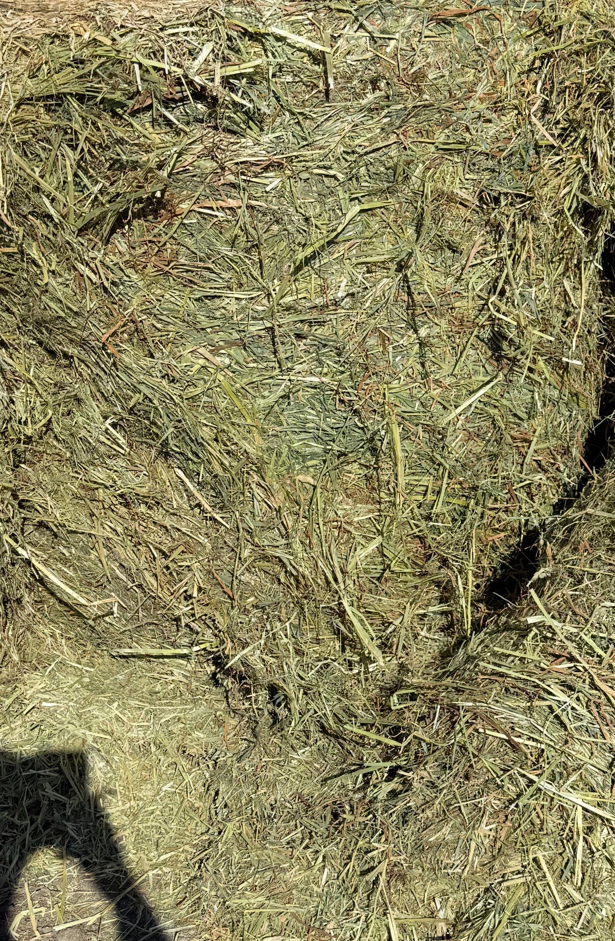 Heinä ~450kg 2025 (analysoimaton)